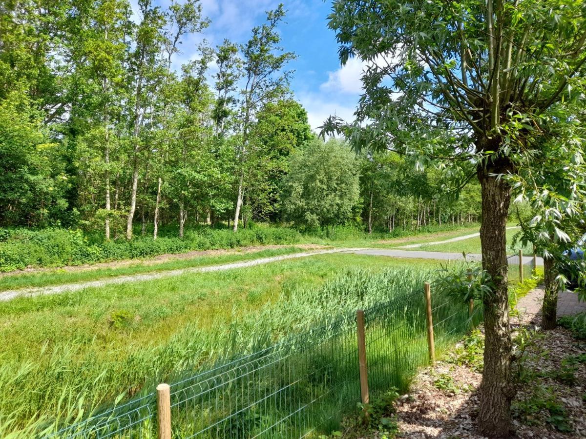 Willa Wellnesshuis Met Hottub, Ligbad En Grote Tuin Tzummarum Zewnętrze zdjęcie